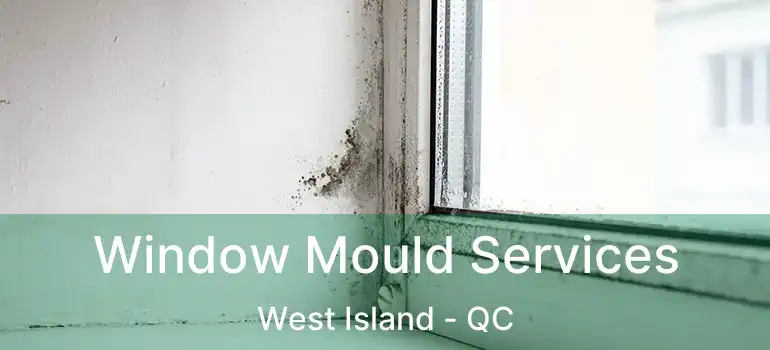  Window Mould Services West Island - QC