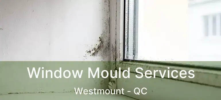  Window Mould Services Westmount - QC