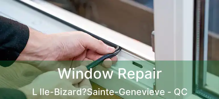  Window Repair L Ile-Bizard?Sainte-Genevieve - QC