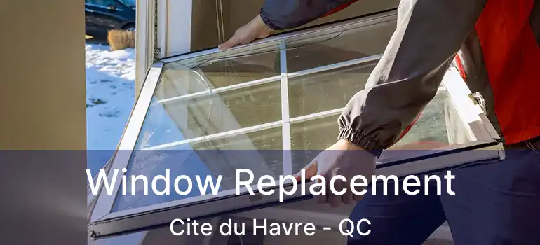  Window Replacement Cite du Havre - QC