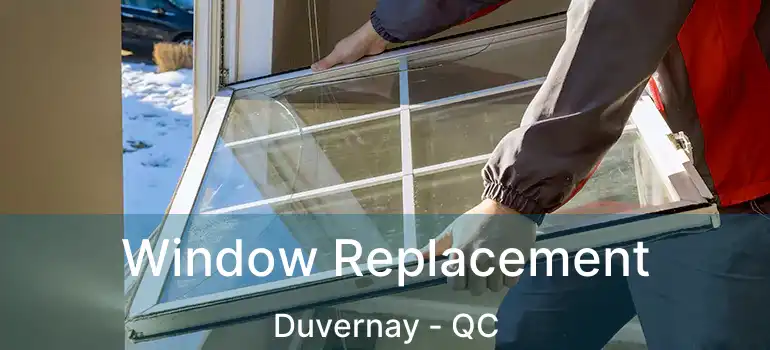  Window Replacement Duvernay - QC