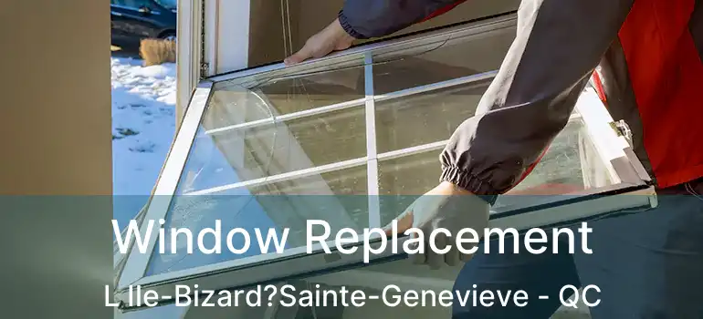  Window Replacement L Ile-Bizard?Sainte-Genevieve - QC