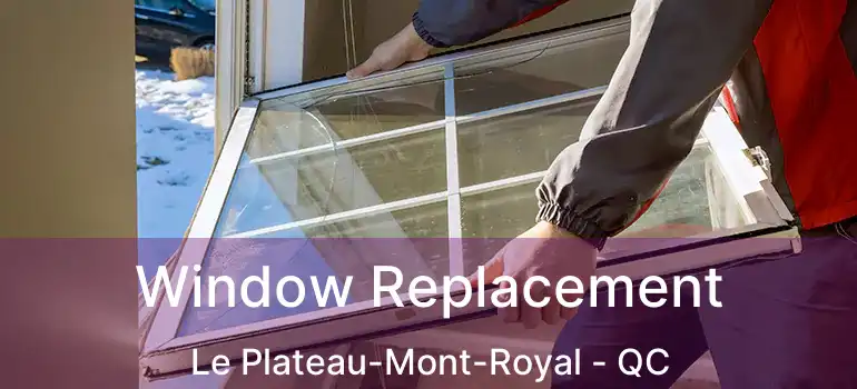  Window Replacement Le Plateau-Mont-Royal - QC