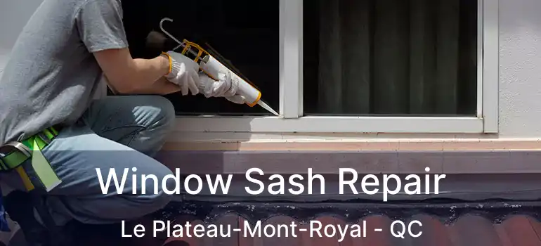  Window Sash Repair Le Plateau-Mont-Royal - QC