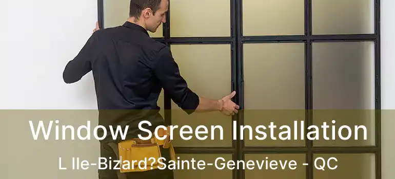  Window Screen Installation L Ile-Bizard?Sainte-Genevieve - QC