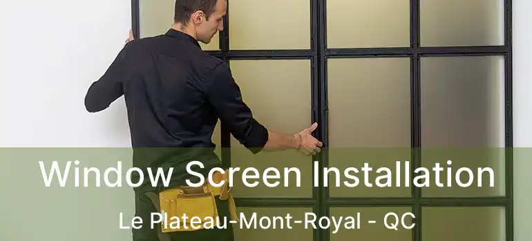  Window Screen Installation Le Plateau-Mont-Royal - QC