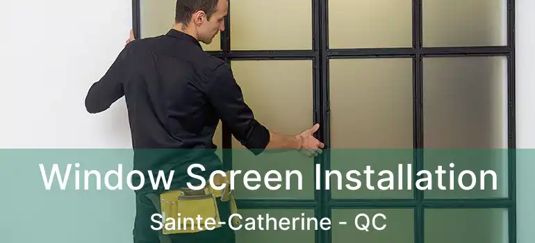  Window Screen Installation Sainte-Catherine - QC