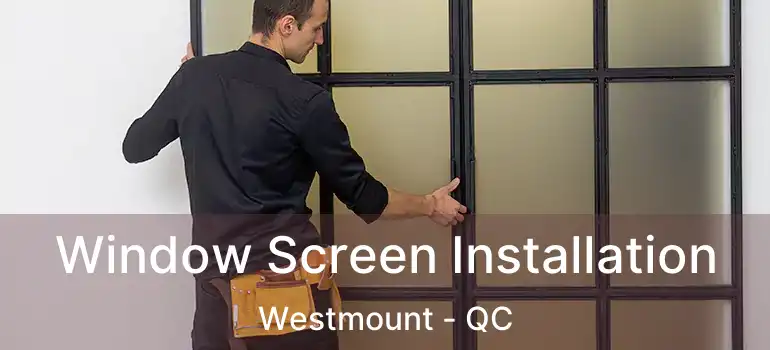  Window Screen Installation Westmount - QC