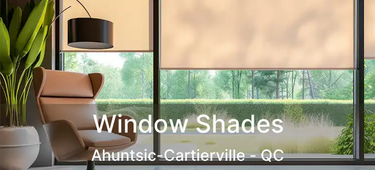 Window Shades Ahuntsic-Cartierville - QC