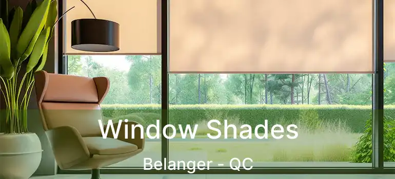  Window Shades Belanger - QC