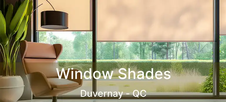 Window Shades Duvernay - QC