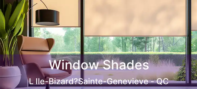  Window Shades L Ile-Bizard?Sainte-Genevieve - QC