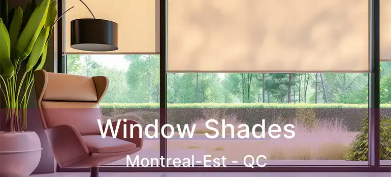  Window Shades Montreal-Est - QC
