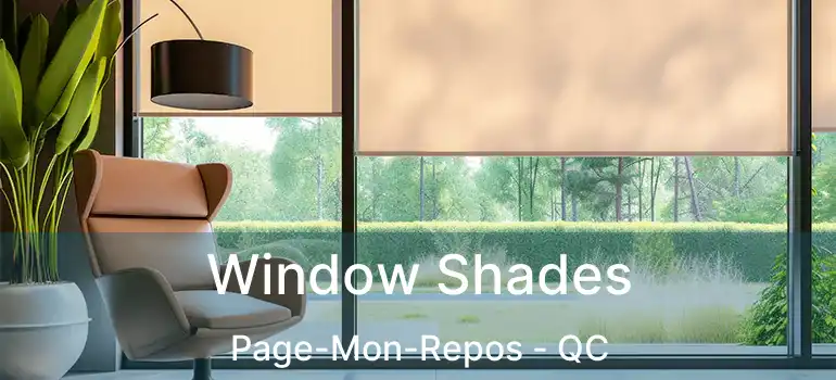  Window Shades Page-Mon-Repos - QC
