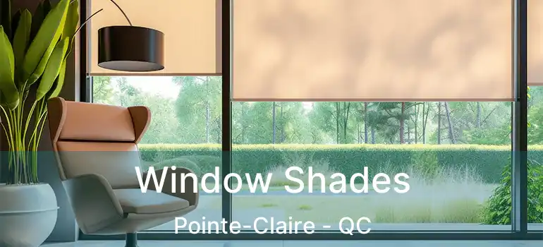  Window Shades Pointe-Claire - QC