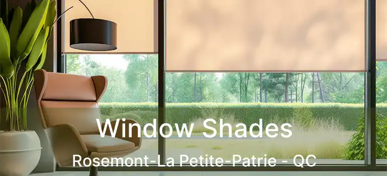  Window Shades Rosemont-La Petite-Patrie - QC