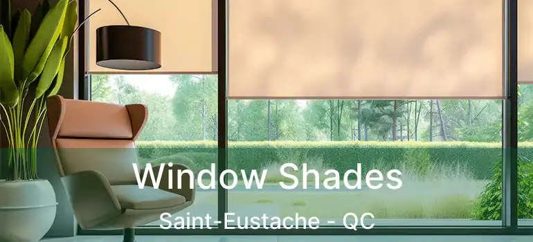  Window Shades Saint-Eustache - QC