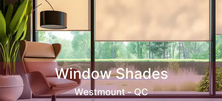  Window Shades Westmount - QC