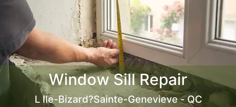  Window Sill Repair L Ile-Bizard?Sainte-Genevieve - QC