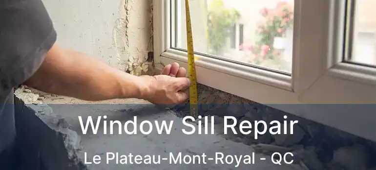  Window Sill Repair Le Plateau-Mont-Royal - QC