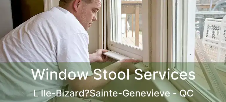  Window Stool Services L Ile-Bizard?Sainte-Genevieve - QC