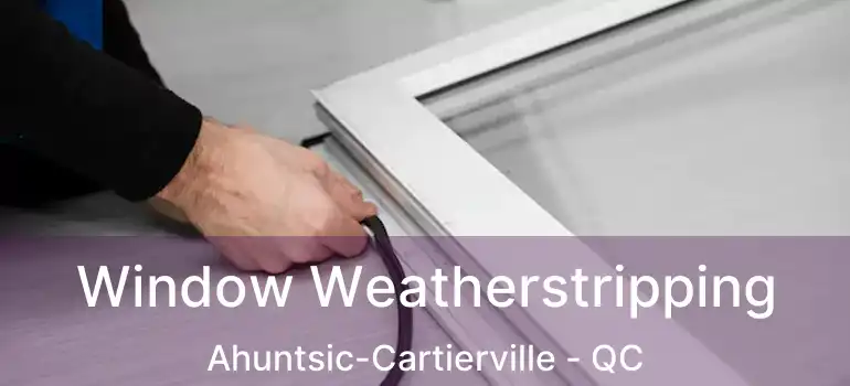  Window Weatherstripping Ahuntsic-Cartierville - QC
