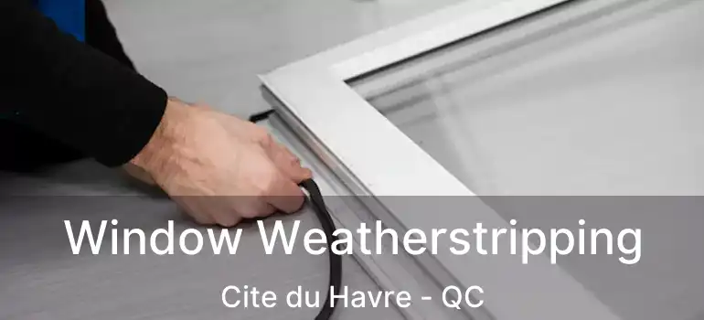  Window Weatherstripping Cite du Havre - QC