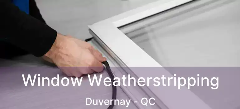  Window Weatherstripping Duvernay - QC