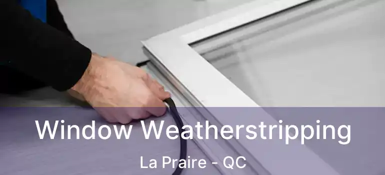  Window Weatherstripping La Praire - QC
