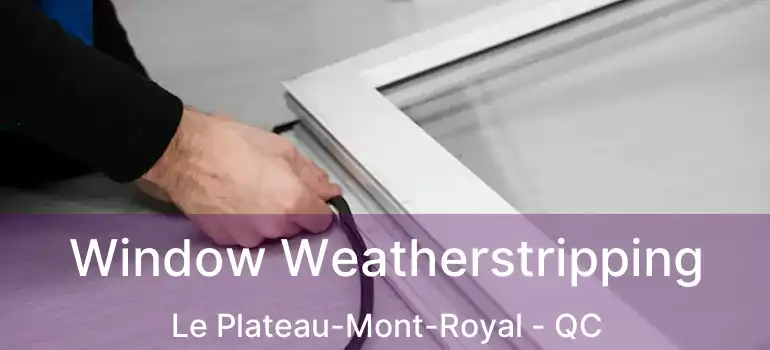  Window Weatherstripping Le Plateau-Mont-Royal - QC