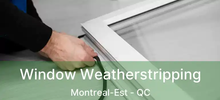  Window Weatherstripping Montreal-Est - QC