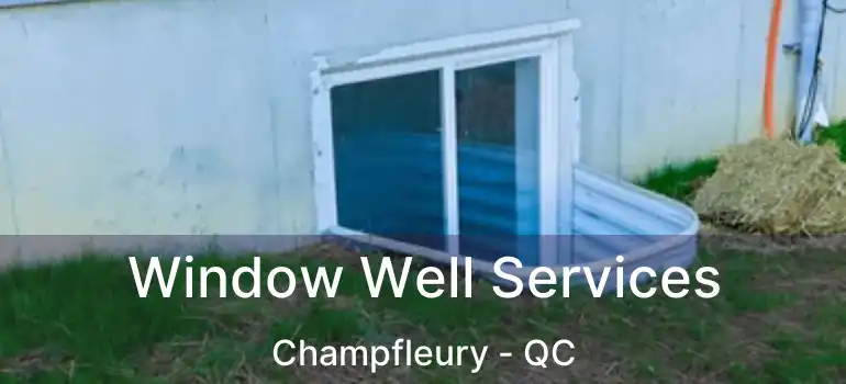  Window Well Services Champfleury - QC
