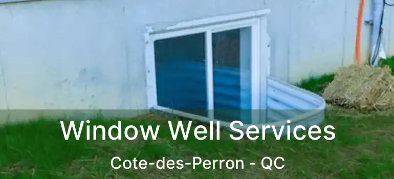  Window Well Services Cote-des-Perron - QC