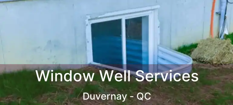  Window Well Services Duvernay - QC