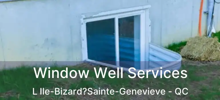  Window Well Services L Ile-Bizard?Sainte-Genevieve - QC