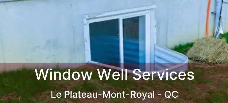  Window Well Services Le Plateau-Mont-Royal - QC