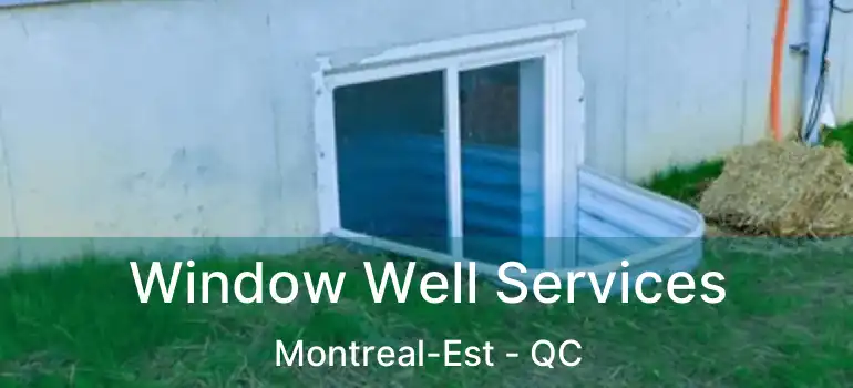  Window Well Services Montreal-Est - QC