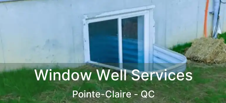  Window Well Services Pointe-Claire - QC