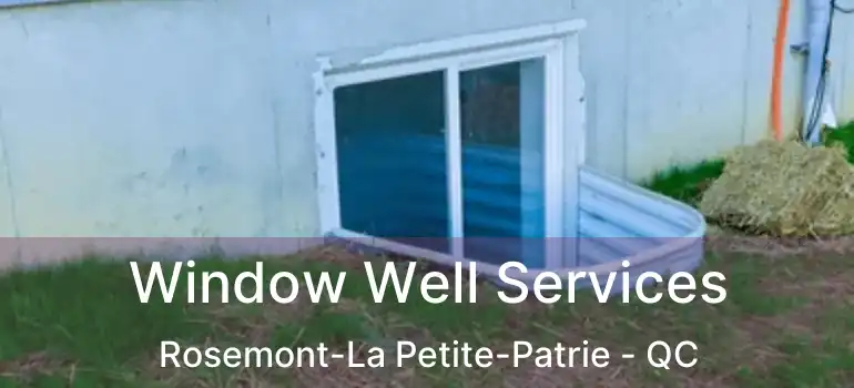  Window Well Services Rosemont-La Petite-Patrie - QC