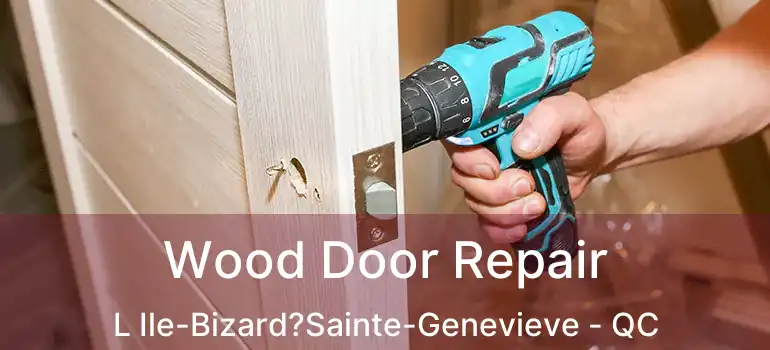  Wood Door Repair L Ile-Bizard?Sainte-Genevieve - QC